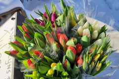 Bloemenpracht