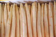 Mooi gekloonde asperges