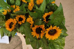 Zonnebloemen ensemble
